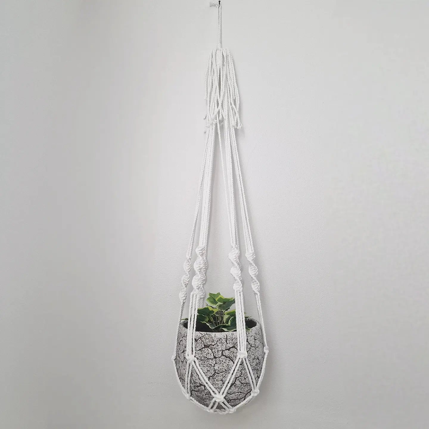 Kite Knot Vase Hanger