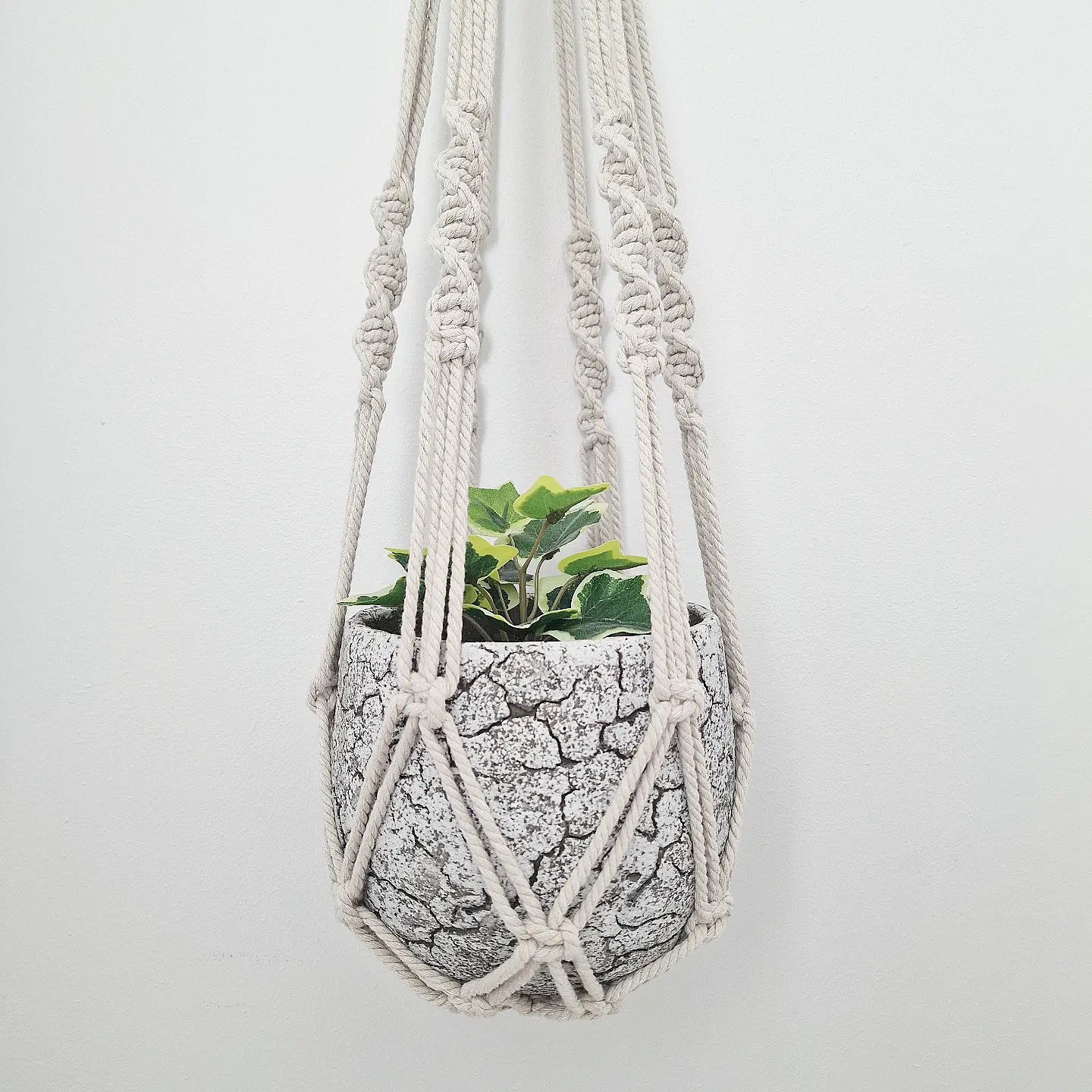 Kite Knot Vase Hanger